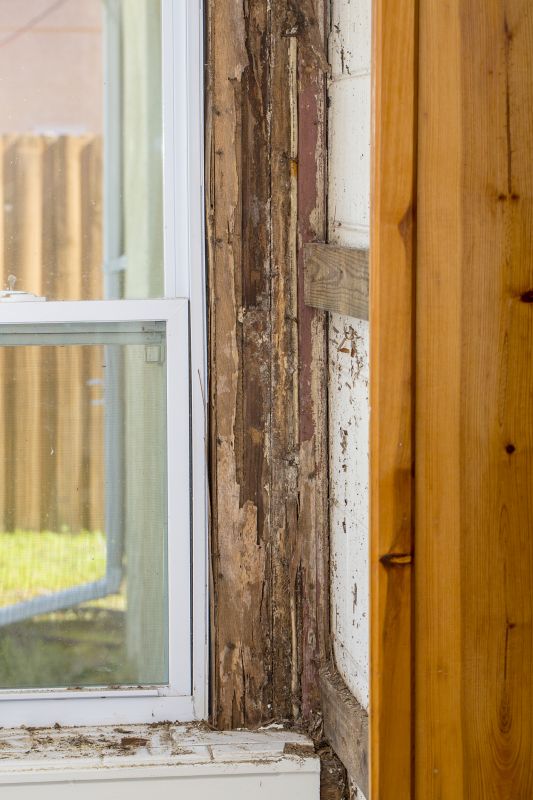 Termite Damage Restoration in Denver, CO