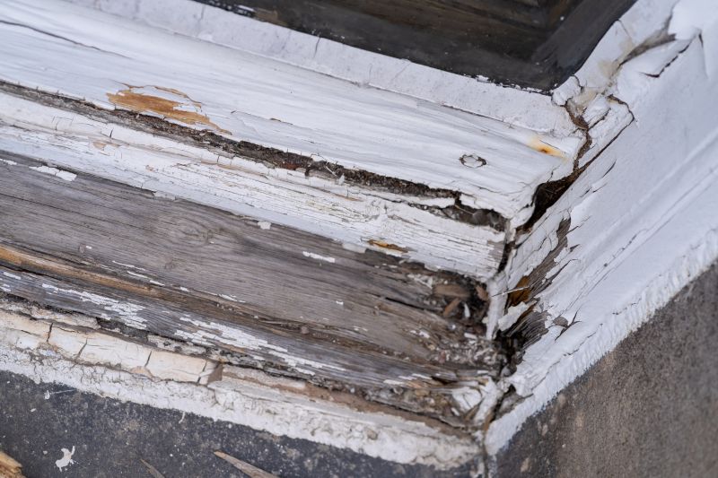 Decay Repair Service in Boulder, CO