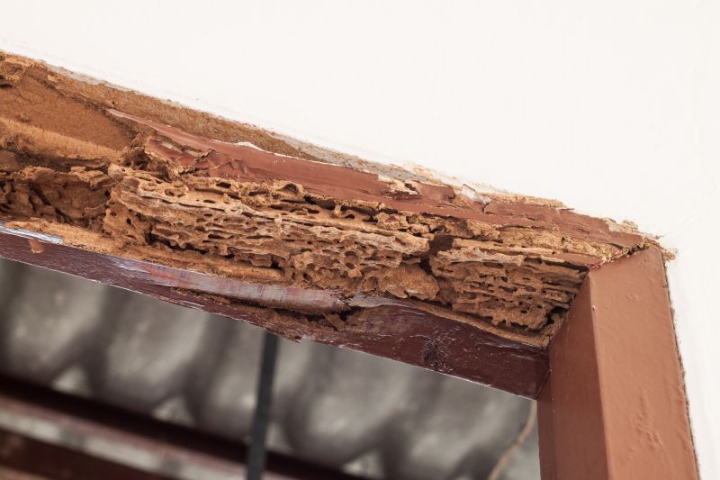 Decayed Wood Replacement in Kansas City, KS