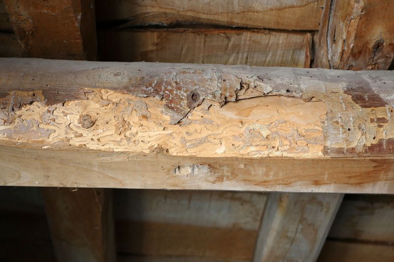Decayed Wood Replacement in Roswell, GA
