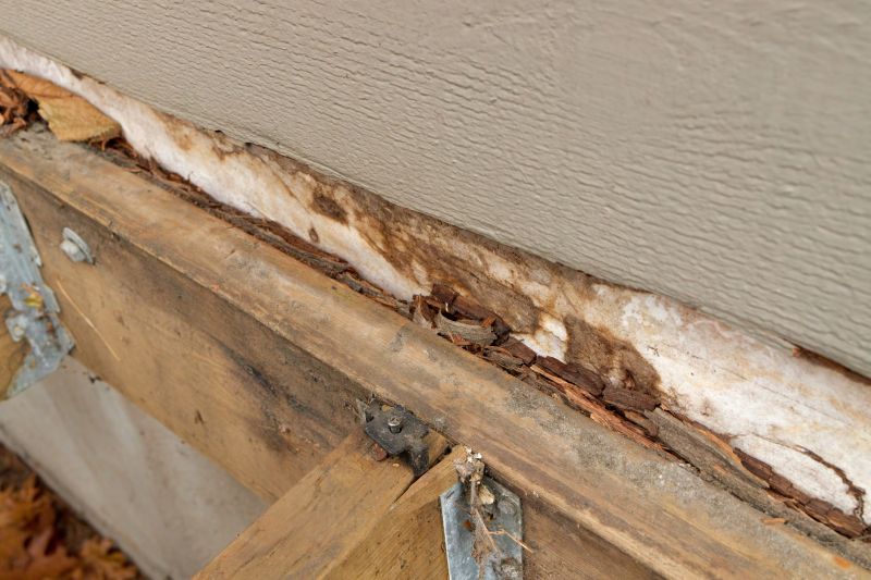 Dry Rot Repair in Alpharetta, GA