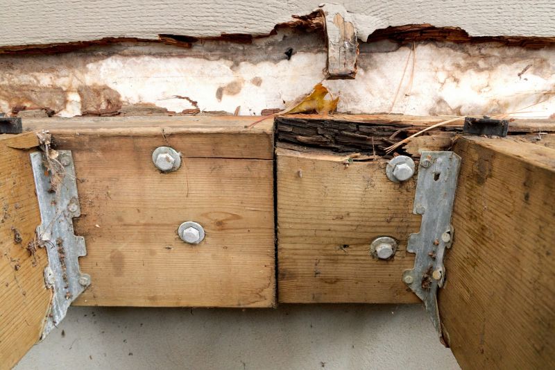 Rot Repair Service in Indianapolis, IN
