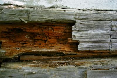 Rotted Wood Repair