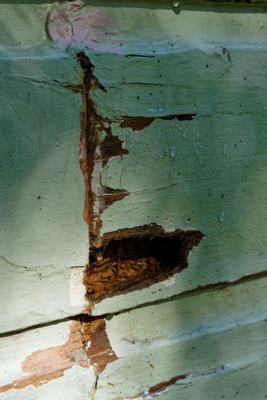 Damaged Wood Panel