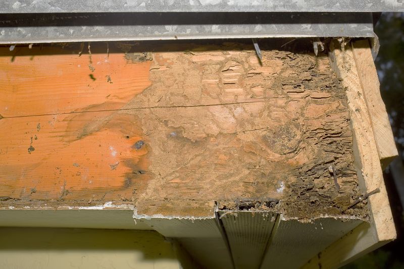 Structural Rot Repair in Kansas City, KS