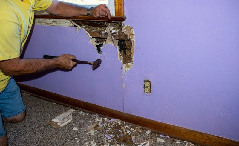 Termite Damage Repair Service in Denver County, CO