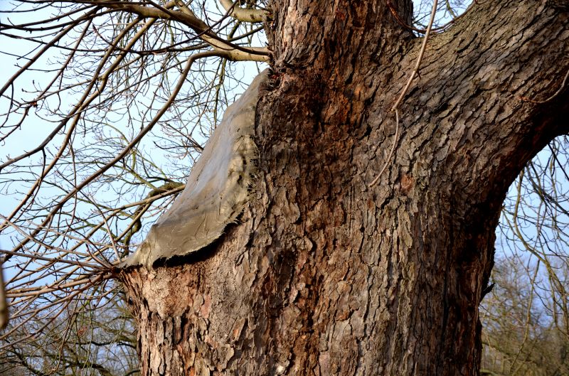 Sealing and Waterproofing