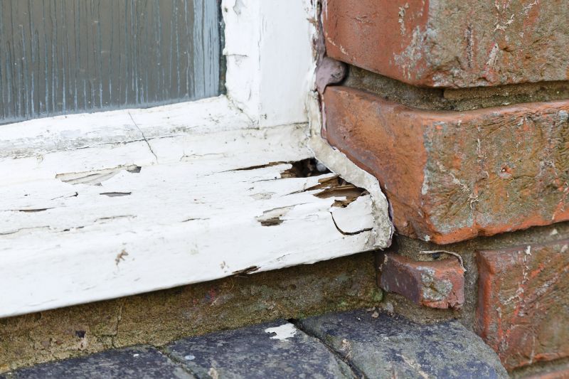 Window Rot Repair in Denver County, CO