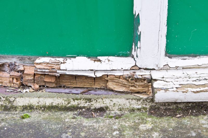 Window Rot Repair in Denver, CO