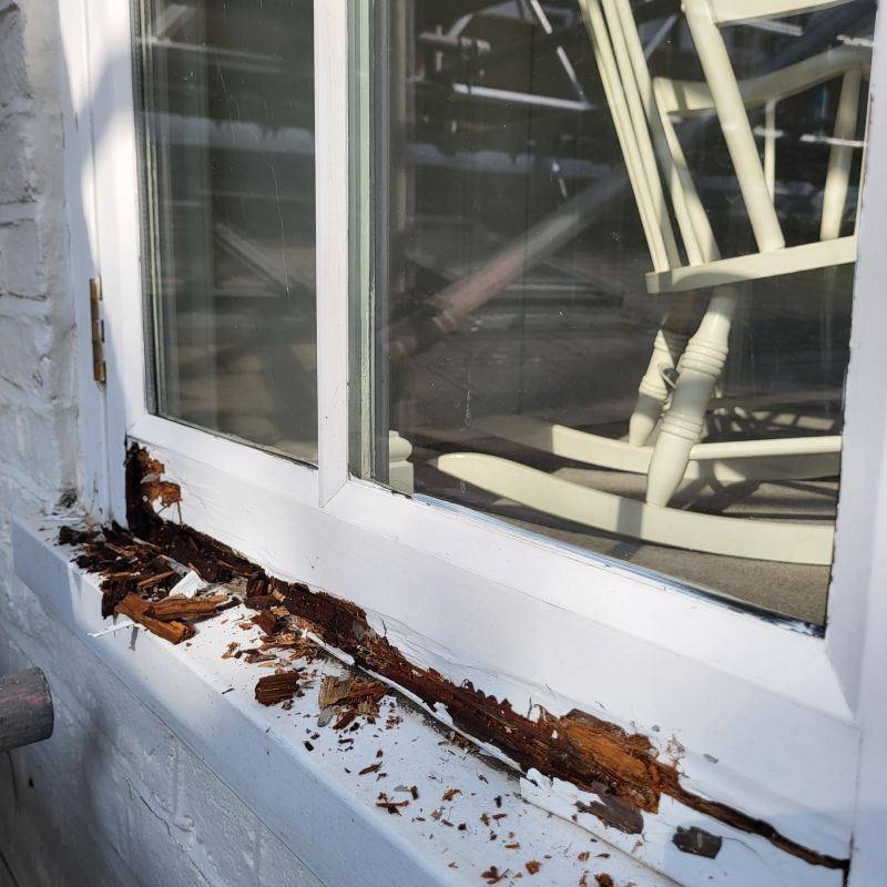 Wood Decay Removal in Roswell, GA