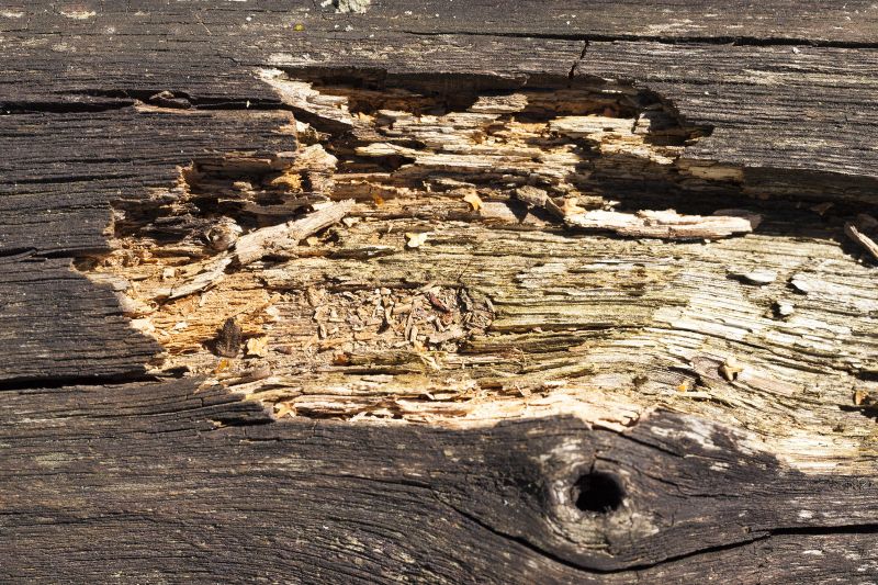 Wood Decay Removal in Kansas City, MO