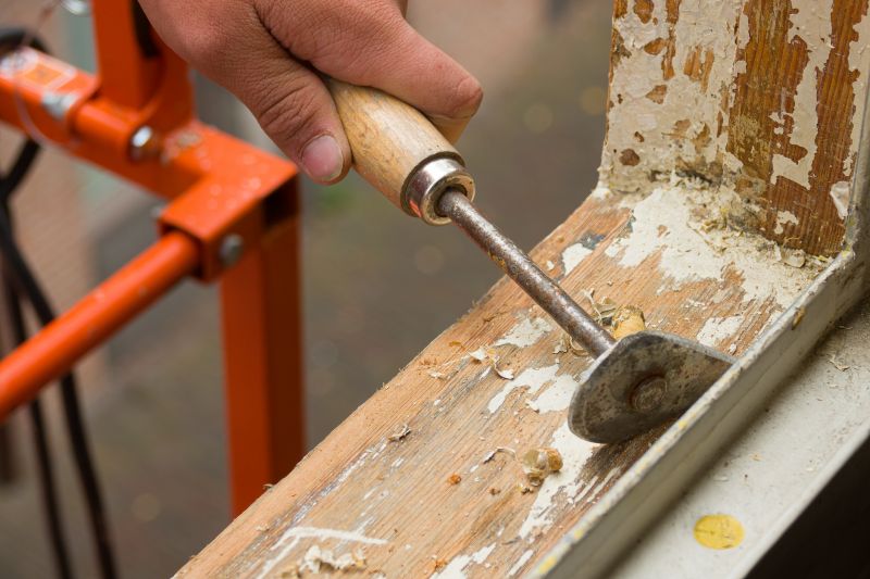 Wood Rot Removal in Conroe, TX