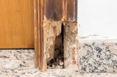 Wood Rot Removal in Kansas City, MO