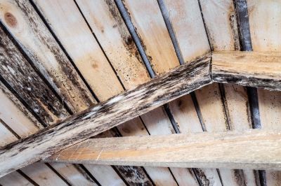 Rotted Wood Repair, Rotted Wood Repair, Oklahoma